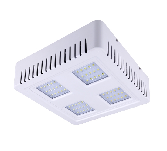Superior Meanwell Led Driver 5 Years Warranty Led Canopy Lig